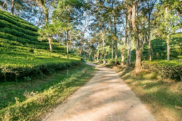 দর্শনীয় স্থান